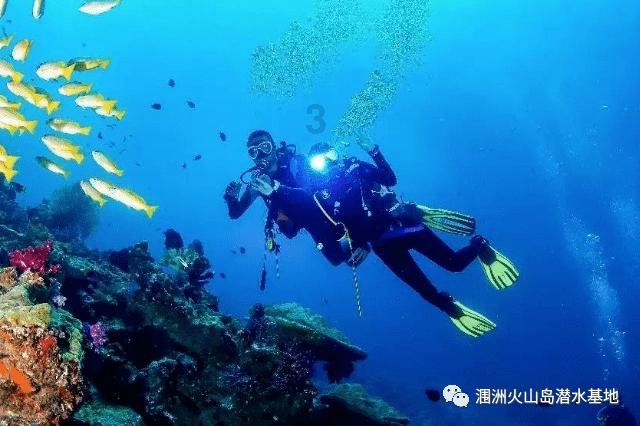 春雨直播app